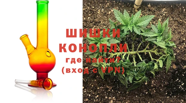 гашик Ельня