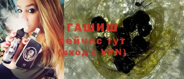 гашик Ельня