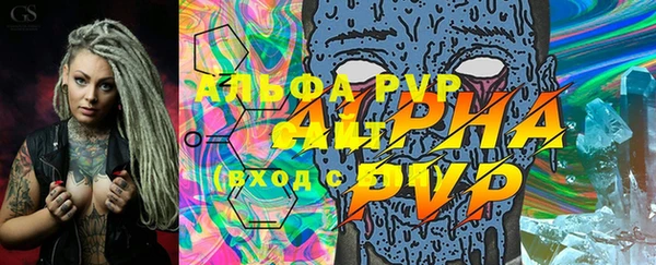 гашик Ельня