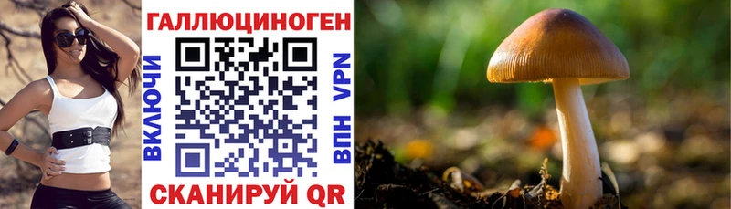 Псилоцибиновые грибы MAGIC MUSHROOMS MEGA как войти Кировск