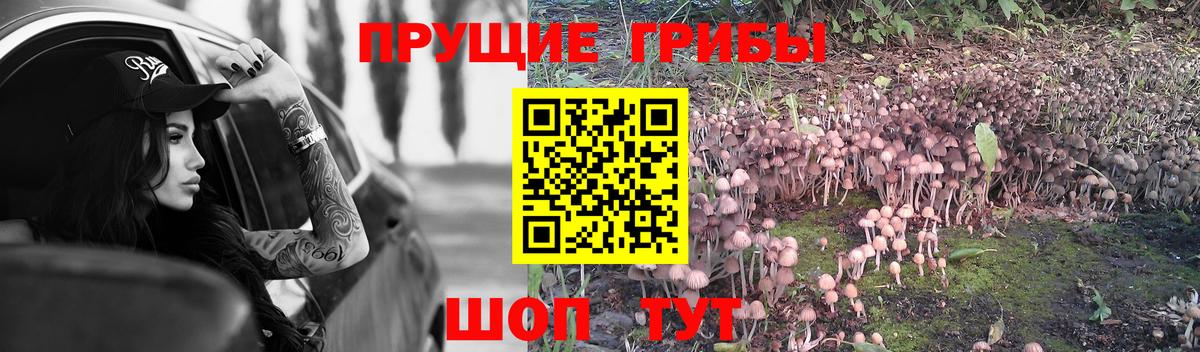 Галлюциногенные грибы мицелий Кировск
